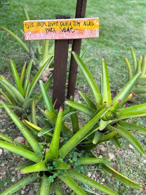 Casa No Campo
