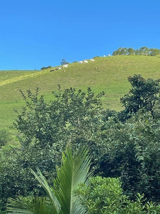 Casa No Campo *