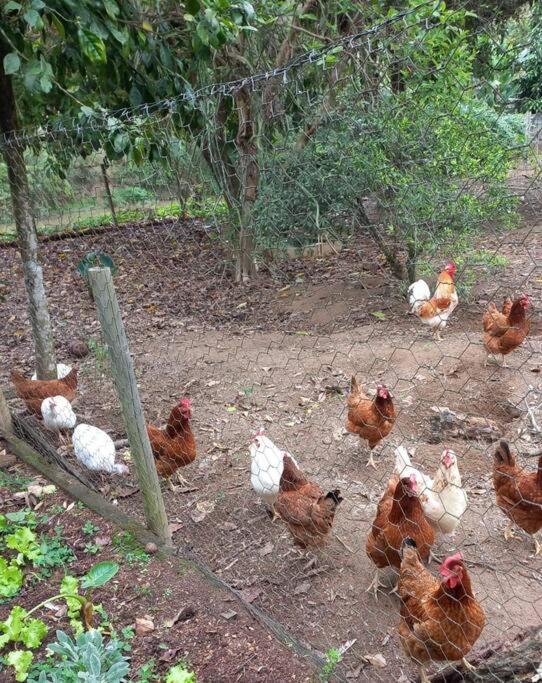 Casa No Campo *
